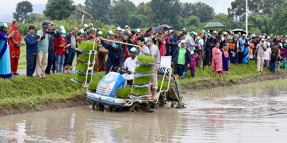 उन्नाइसौँ राष्ट्रिय धान दिवस तथा रोपाइँ महोत्सव (फोटो फिचर)